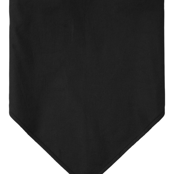 Fleece Lined Bandana Thumbnail